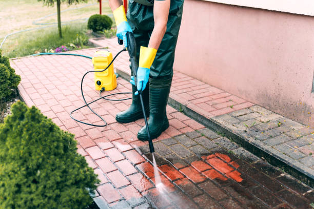 Best Driveway Pressure Washing in USA